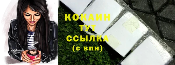 хмурый Абаза