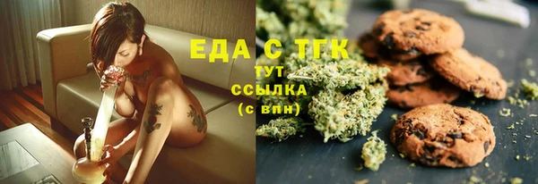 хмурый Абаза