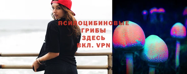 хмурый Абаза