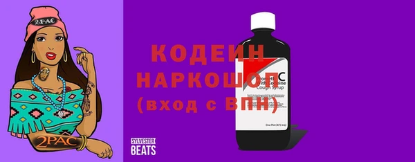 хмурый Абаза