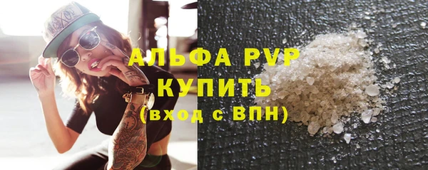 хмурый Абаза