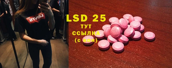 хмурый Абаза